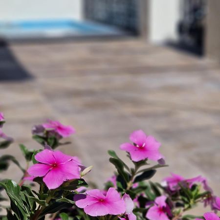 Del Parque Flats Balneario De Pina Villa Málaga Dış mekan fotoğraf