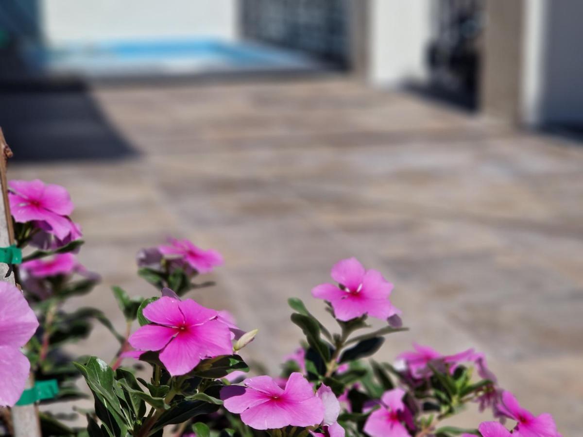 Del Parque Flats Balneario De Pina Villa Málaga Dış mekan fotoğraf